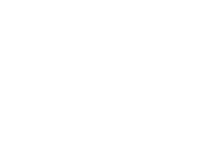 Bright Angel Industries